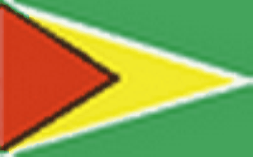 guyana Online phone number